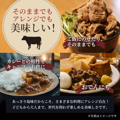 仙台牛 牛スジ煮込み300g 10個セット[No.5704-0859]