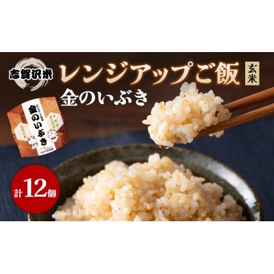 【令和7年産新米】金のいぶき レンジアップごはん12個セット[No.5704-0909]