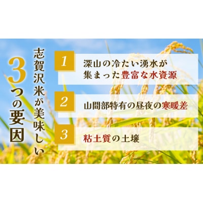 【令和7年産新米】金のいぶき レンジアップごはん12個セット[No.5704-0909]