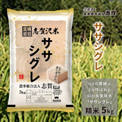 【令和7年産新米】志賀沢米 ササシグレ 精米5kg [No.5704-0511]