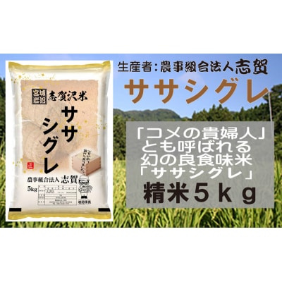 【令和7年産新米】志賀沢米 ササシグレ 精米5kg [No.5704-0511]