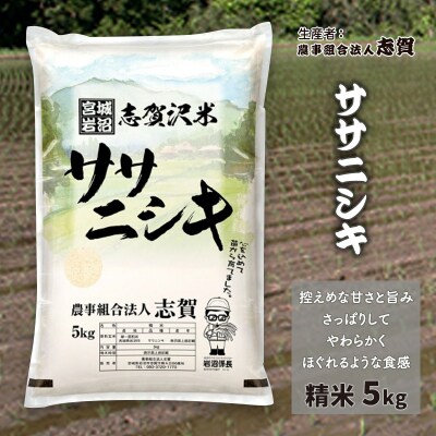 【令和7年産】志賀沢米 ササニシキ 精米5kg [No.5704-0512]