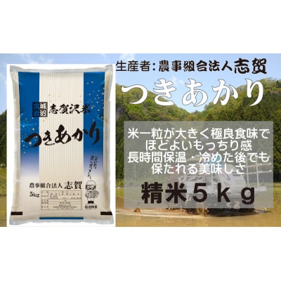 【令和7年産新米】志賀沢米 つきあかり 精米5kg  [No.5704-0513