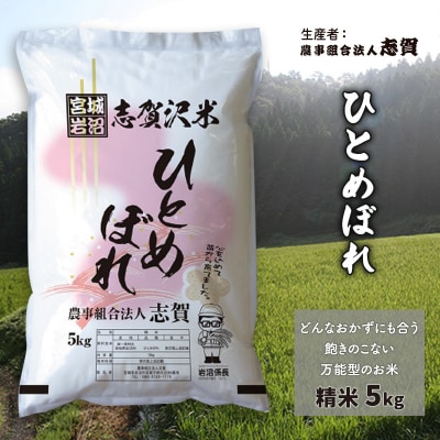 【令和7年産新米】志賀沢米 ひとめぼれ 精米5kg [No.5704-0515]