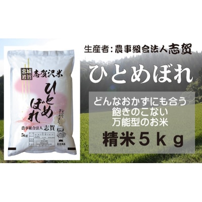 【令和7年産新米】志賀沢米 ひとめぼれ 精米5kg [No.5704-0515]