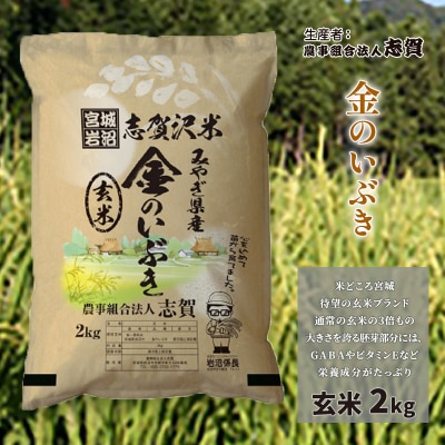 【令和7年産新米】玄米 金のいぶき 2kg [No.5704-0794]