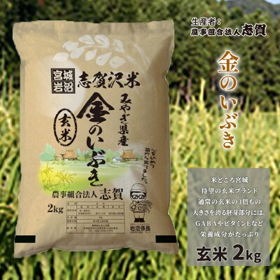 【令和7年産】玄米 金のいぶき 2kg [No.5704-0794]