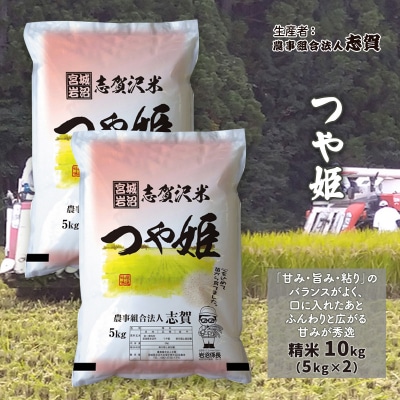 【令和7年産新米】志賀沢米 つや姫 精米10kg (5kg×2) [No.5704-0503]