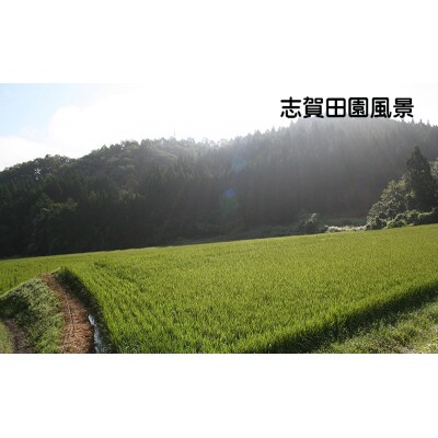 【令和7年産】志賀沢米 つや姫 精米10kg (5kg×2) [No.5704-0503]
