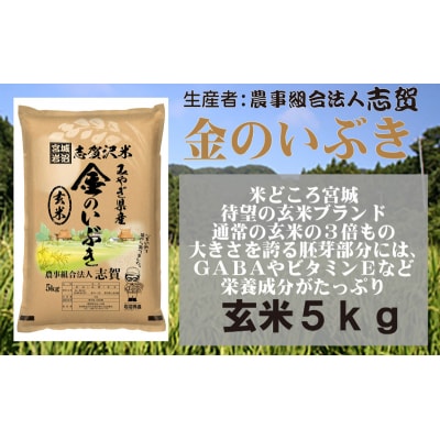 【令和7年産新米】志賀沢米 玄米 金のいぶき 5kg  [No.5704-0509]
