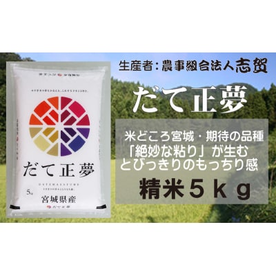 【令和7年産新米】志賀沢米 だて正夢 精米5kg[No.5704-0510]