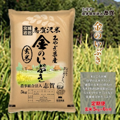 【令和7年産新米】【6ヶ月定期便】玄米 金のいぶき 5kg [No.5704-0753]