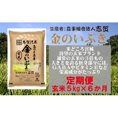 【令和7年産新米】【6ヶ月定期便】玄米 金のいぶき 5kg [No.5704-0753]