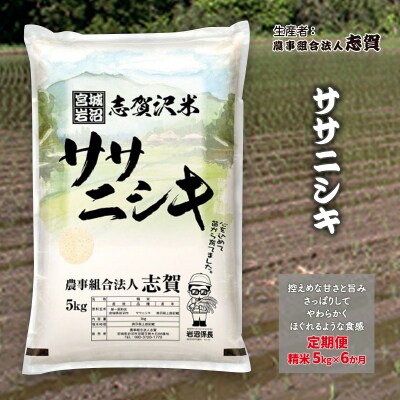 【令和7年産新米】【6ヶ月定期便】ササニシキ 精米5kg [No.5704-0759]