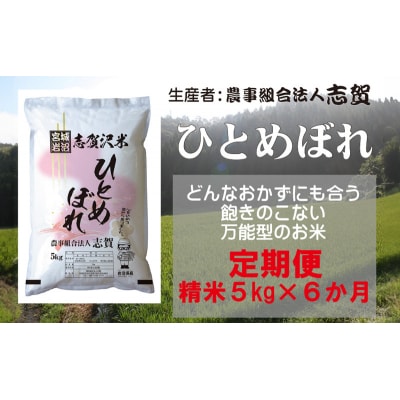 【令和7年産新米】【6ヶ月定期便】ひとめぼれ 精米5kg [No.5704-0765]