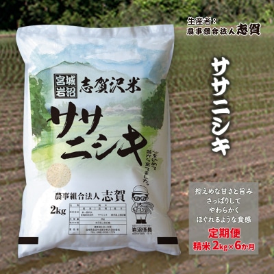 【令和7年産新米】【6ヶ月定期便】ササニシキ 精米2kg[No.5704-0808]