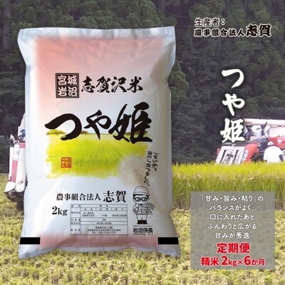 【令和7年産】【6ヶ月定期便】つや姫 精米2kg [No.5704-0812]