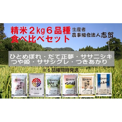 【令和7年産新米】志賀沢米 食べ比べセット 2kg [No.5704-0817]