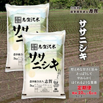 【令和7年産新米】【6ヶ月定期便】ササニシキ精米10kg [No.5704-0773]