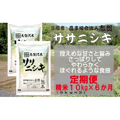 【令和7年産】【6ヶ月定期便】ササニシキ精米10kg [No.5704-0773]