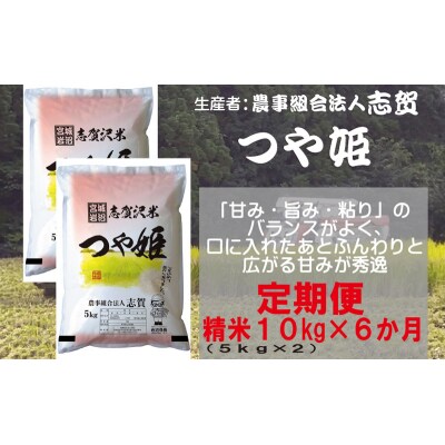 【令和7年産新米】【6ヶ月定期便】つや姫 精米10kg  [No.5704-0777]