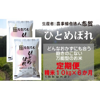 【令和7年産新米】【6ヶ月定期便】ひとめぼれ精米10kg[No.5704-0779]