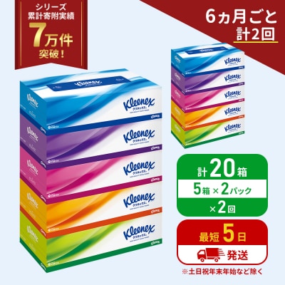 定期便 ティッシュ クリネックス ティシュー 5箱入×2P《計2回》[No.5704-1036]