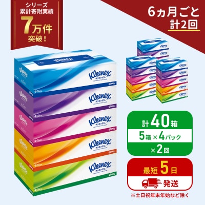 定期便 ティッシュ クリネックス ティシュー 5箱入×4P《計2回》[No.5704-1037]