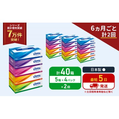 定期便 ティッシュ クリネックス ティシュー 5箱入×4P《計2回》[No.5704-1037]