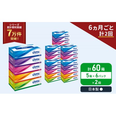 定期便 ティッシュ クリネックス ティシュー 5箱入×6P《計2回》[No.5704-1038]