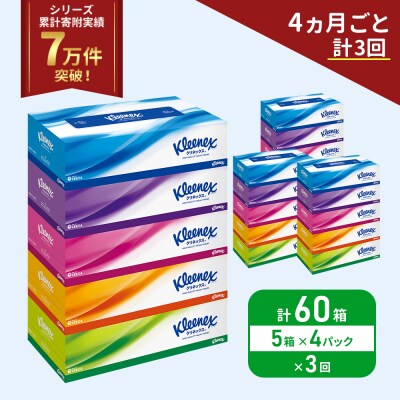 定期便 ティッシュ クリネックス ティシュー 5箱入×4P《計3回》[No.5704-1041]