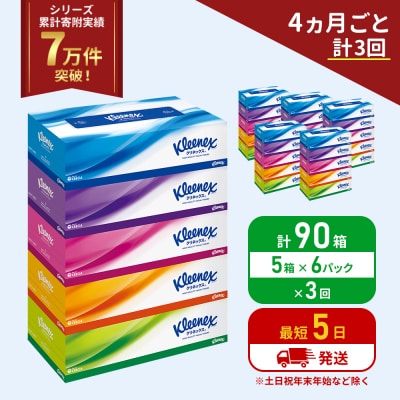 定期便 ティッシュ クリネックス ティシュー 5箱入×6P《計3回》 [No.5704-1042]