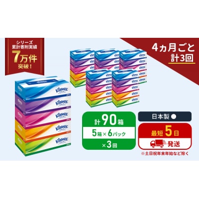 定期便 ティッシュ クリネックス ティシュー 5箱入×6P《計3回》 [No.5704-1042]