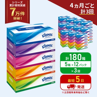 定期便 ティッシュ クリネックス ティシュー(5箱入×12P)《計3回》[No.5704-1043]