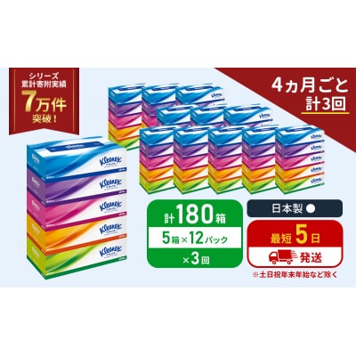 定期便 ティッシュ クリネックス ティシュー(5箱入×12P)《計3回》[No.5704-1043]
