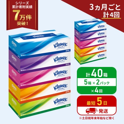 定期便 ティッシュ クリネックス ティシュー 5箱入×2P《計4回》 [No.5704-1044]