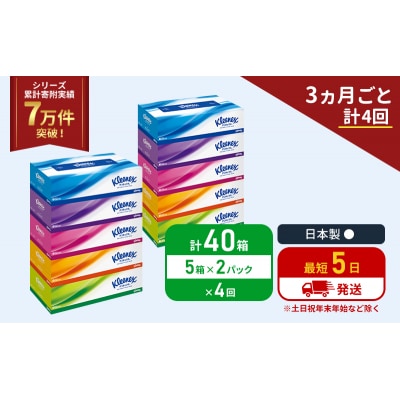 定期便 ティッシュ クリネックス ティシュー 5箱入×2P《計4回》 [No.5704-1044]