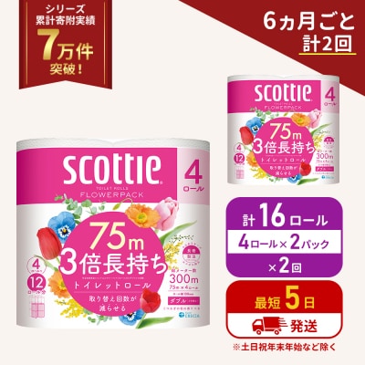 定期便 トイレットペーパーダブル 3倍 長持ち4R入×2P《計2回》[No.5704-1061]