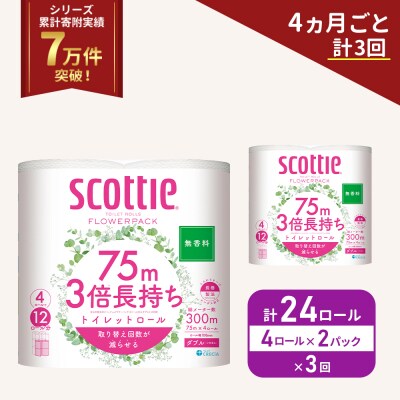 定期便 トイレットペーパー ダブル 3倍長持ち 4R入×2P《計3回》[No.5704-1079]