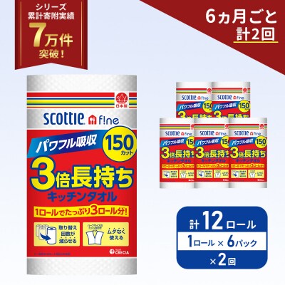 定期便 キッチンペーパー 6P入 キッチンタオル スコッティ 《計2回》[No.5704-1093]