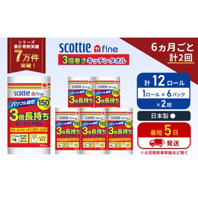 定期便 キッチンペーパー 6P入 キッチンタオル スコッティ 《計2回》[No.5704-1093]