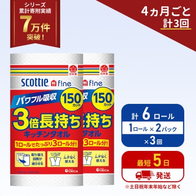 定期便 キッチンペーパー 2P入 キッチンタオル スコッティ《計3回》[No.5704-1096]