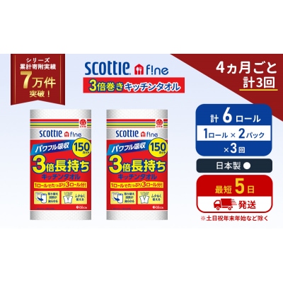 定期便 キッチンペーパー 2P入 キッチンタオル スコッティ《計3回》[No.5704-1096]