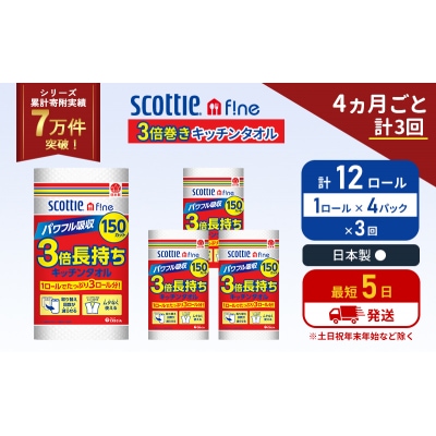 定期便 キッチンペーパー 4P入 キッチンタオル スコッティ《計3回》[No.5704-1097]