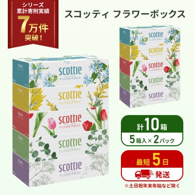 ティッシュ スコッティ フラワーボックス 10箱 (5箱×2P) [No.5704-1124]