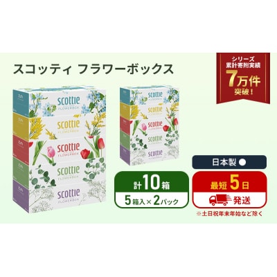 ティッシュ スコッティ フラワーボックス 10箱 (5箱×2P) [No.5704-1124]