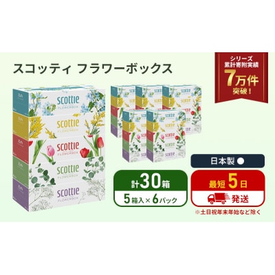 ティッシュ スコッティ フラワーボックス 30箱 (5箱×6P)  [No.5704-1126]