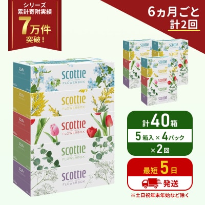 定期便 ティッシュ スコッティ  40箱 (5箱×4P)《計2 回》[No.5704-1128]