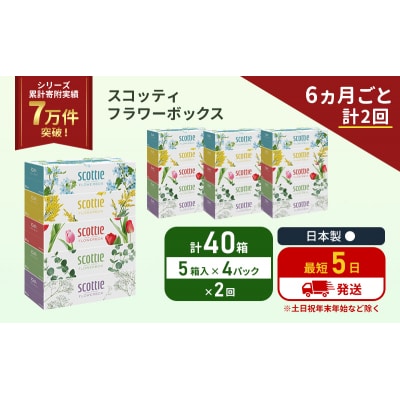 定期便 ティッシュ スコッティ  40箱 (5箱×4P)《計2 回》[No.5704-1128]