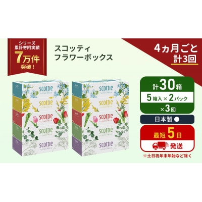 定期便 ティッシュ スコッティ 30箱 (5箱×2P)《計3回》[No.5704-1131]